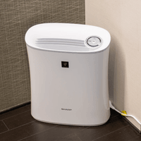 Air cleaner